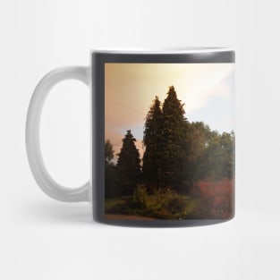 Colour in the Gloaming Mug